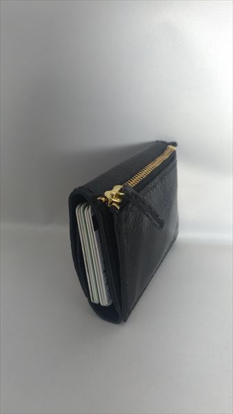 小型の3つ折り財布を自作する 収納テスト サイド（カード側）